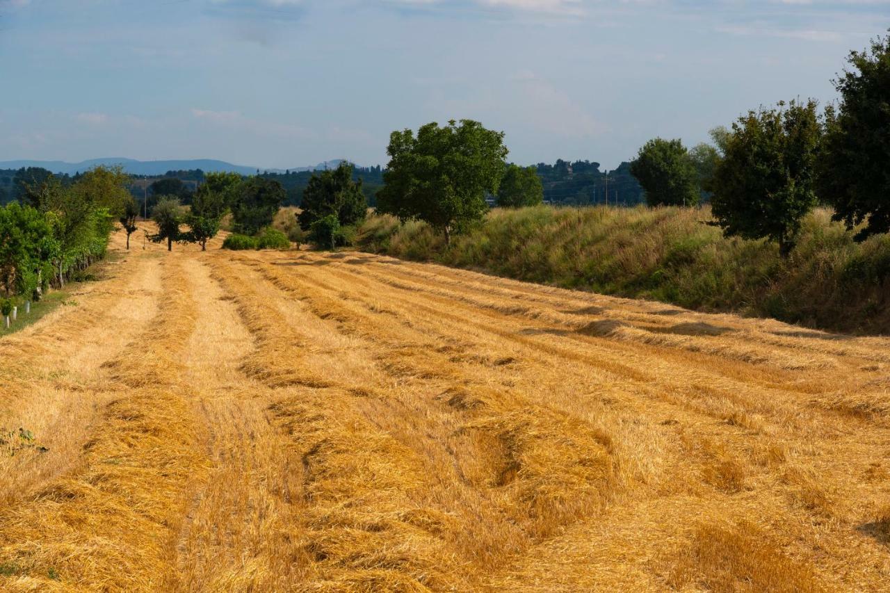 Locazione Turistica Casa Vento della Toscana Foiano Della Chiana Esterno foto